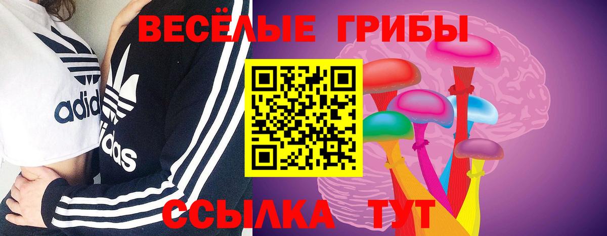 Галлюциногенные грибы мицелий Чапаевск